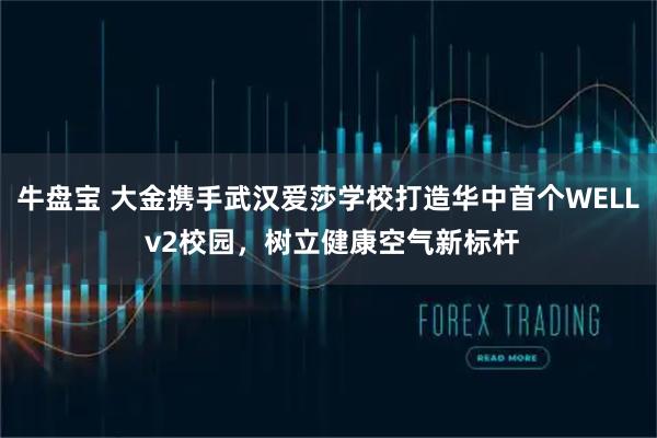 牛盘宝 大金携手武汉爱莎学校打造华中首个WELL v2校园，树立健康空气新标杆