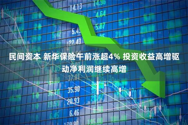 民间资本 新华保险午前涨超4% 投资收益高增驱动净利润继续高增