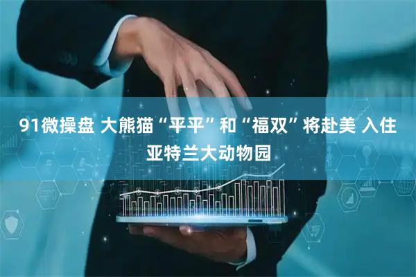 91微操盘 大熊猫“平平”和“福双”将赴美 入住亚特兰大动物园