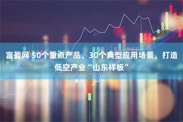 富盈网 50个重点产品、30个典型应用场景，打造低空产业“山东样板”