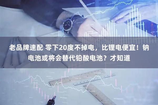 老品牌速配 零下20度不掉电，比锂电便宜！钠电池或将会替代铅酸电池？才知道